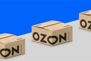 抄作业！OZON大卖的选品清单，10个商品上架就出单