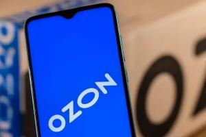 做OZON平台要如何进行商品定价